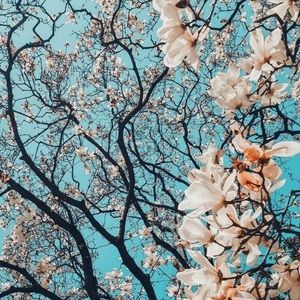 Meet your Posher, Payton